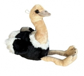 Pies owczarek berneński 27cm