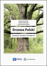  Drzewa Polski