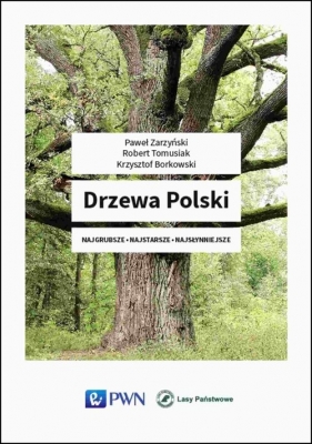 Drzewa Polski - Paweł Zarzyński, Krzysztof Borkowski, Robert Tomasiak