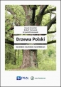 Drzewa Polski - Paweł Zarzyński, Krzysztof Borkowski, Robert Tomasiak