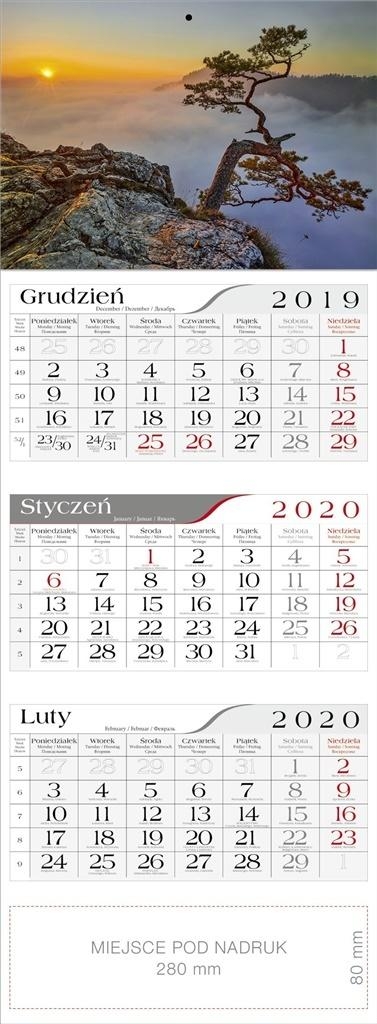Kalendarz 2020 Trójdzielny Sosna CRUX