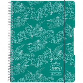 Kołozeszyt Herlitz Eco PP Colors B5/80k kratka, 1 szt