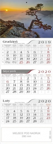 Kalendarz 2020 Trójdzielny Sosna CRUX