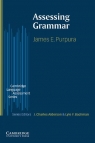 Assessing Grammar Purpura James E.