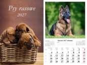 Kalendarz 2027 ścienny Psy rasowe