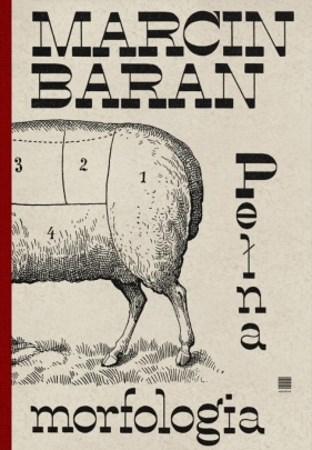 Pełna morfologia - Marcin Baran