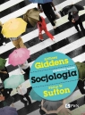 Socjologia Anthony Giddens, Philip W. Sutton