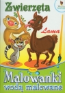 Zwierzęta Lama Malowanki wodą malowane
