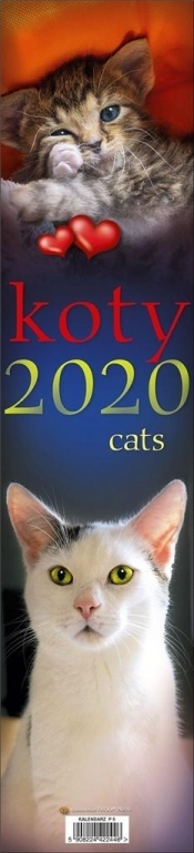 Kalendarz 2020 Paskowy - Koty PP