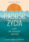  Radość życia, czyli jak zwyciężyć depresję. Terapia zaburzeń nastroju