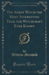 The Amber Witch the Most Interesting Trial for Witchcraft Ever Known (Classic Reprint) - Wilhelm Meinhold