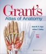Grant's Atlas of Anatomy, International Edition Anne M. R. Agur