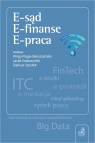 E-sąd, E-finanse, E-praca