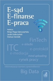 E-sąd, E-finanse, E-praca
