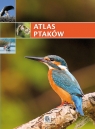 Atlas ptaków Opracowanie zbiorowe