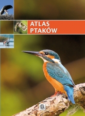 Atlas ptaków - Opracowanie zbiorowe