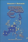 Strefa Euro