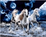 Diamentowa mozaika - 3 białe konie (NO-1007744) od 3 lat