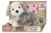 Scruffies Roxy otul mnie