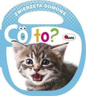 Co to Zwierzęta domowe - Piotr Kozera