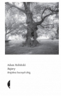 Hajstry - Adam Robiński