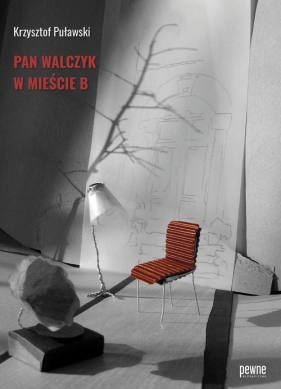 Pan Walczyk w mieście B - Puławski Krzysztof