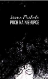 Puch na niełupce