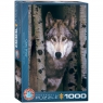 Puzzle 1000 Gray Wolf 6000-1244 12+