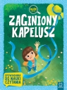 Zaginiony kapelusz. Duże litery. Opowiadania do nauki czytania