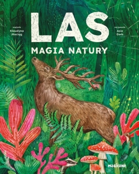 Las. Magia natury - Klaudyna Maciąg