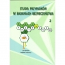 Studia przypadków w badaniach bezpieczeństwa 2 Opracowanie zbiorowe