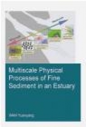 Multiscale Physical Processes of Fine Sediment in an Estuary Yuanyang Wan