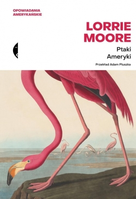 Ptaki Ameryki - Lorrie Moore