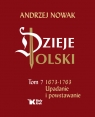 <img src='https://webimage.pl/pics/450/4/d89380B.jpg' width='400' height='492'> Dzieje Polski. Tom 7. Upadanie i powstawanie 1673-1763 Andrzej Nowak