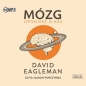 Mózg Opowieść o nas (Audiobook) - David Eagleman