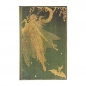 Notatnik w kropki Paperblanks Olive Fairy Maxi
