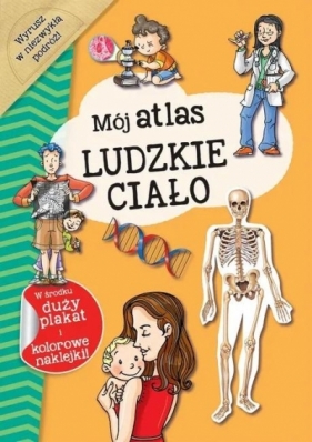 Mój atlas Ludzkie ciało - Opracowanie zbiorowe