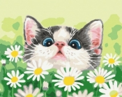 Obraz Malowanie po numerach - Kot w stokrotkach (BS51569)
