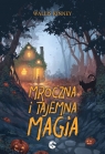 Mroczna i tajemna magia Wallis Kinney .