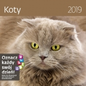 Kalendarz wieloplanszowy Koty 30x30 2019