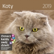 Kalendarz wieloplanszowy Koty 30x30 2019