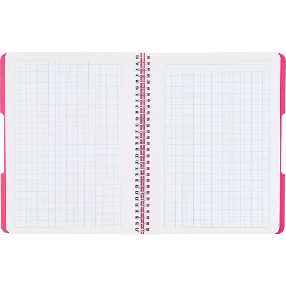 Kołozeszyt Eco PP Colors A4/80k kratka, 1 szt