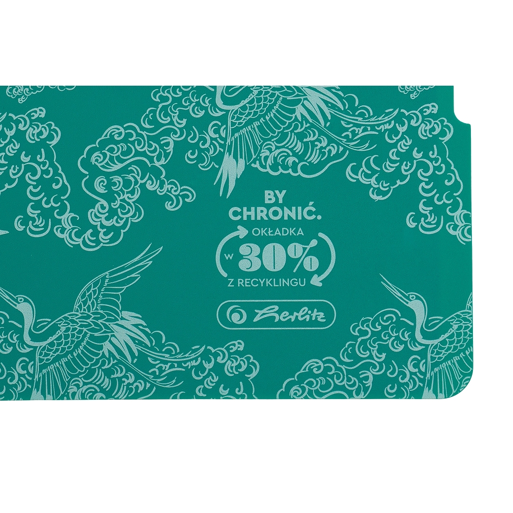 Kołozeszyt Eco PP Colors A4/80k kratka, 1 szt