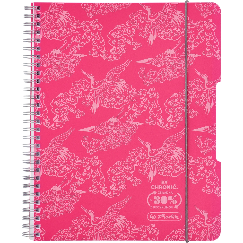 Kołozeszyt Eco PP Colors A4/80k kratka, 1 szt