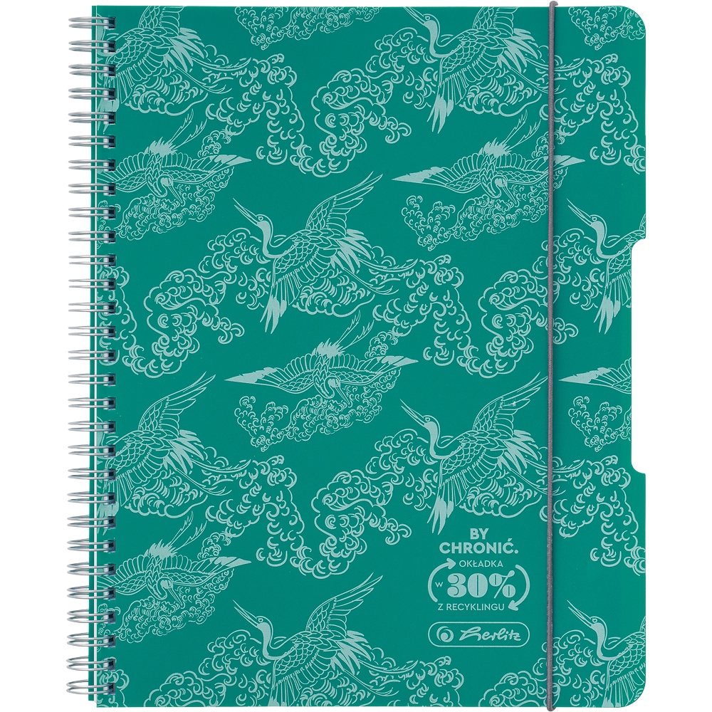 Kołozeszyt Eco PP Colors A4/80k kratka, 1 szt