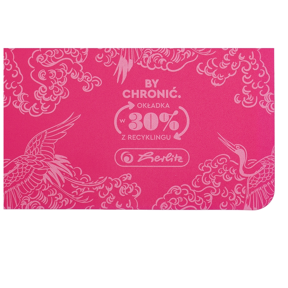 Kołozeszyt Eco PP Colors A4/80k kratka, 1 szt