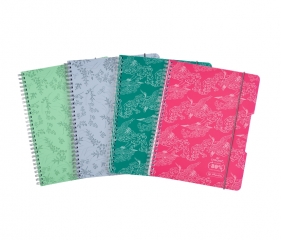 Kołozeszyt Eco PP Colors A4/80k kratka, 1 szt