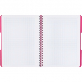 Kołozeszyt Eco PP Colors A4/80k kratka, 1 szt