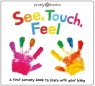 See, Touch, Feel Roger Priddy