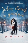 Jeden dzień w grudniu